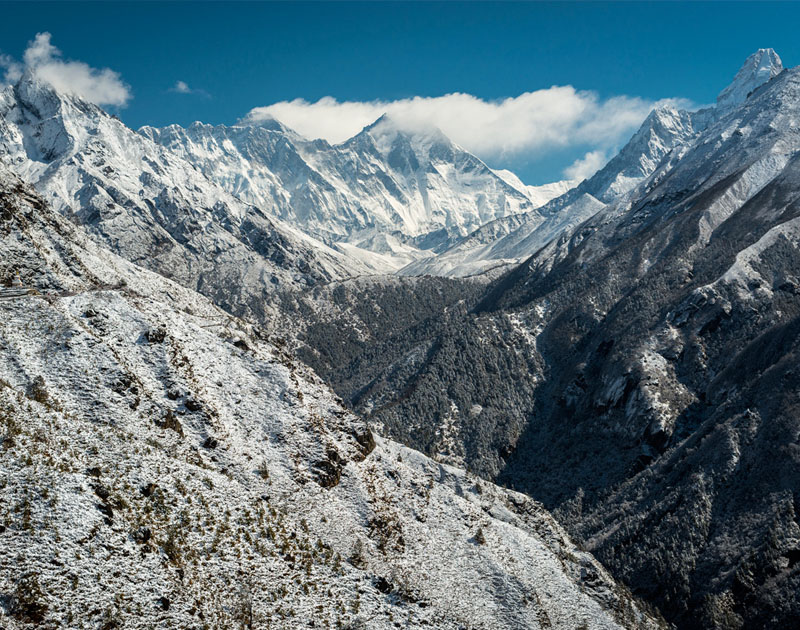 ddos压力测试网页端